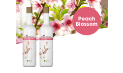 Peach Blossom