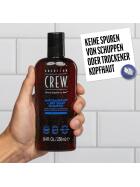 American Crew Anti-Dandruff + Dry Scalp Shampoo 250 ml