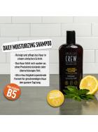 American Crew Daily Deep Moisture Shampoo 250 ml
