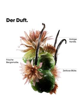 LOr&eacute;al Professionnel Absolut Repair Molecular Duo Geschenkset