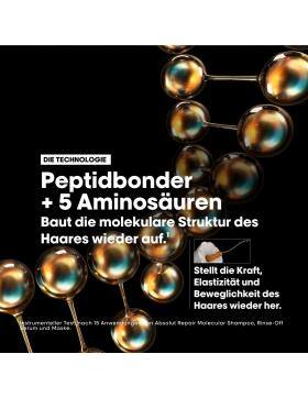 LOr&eacute;al Professionnel Absolut Repair Molecular Trio Discovery Set