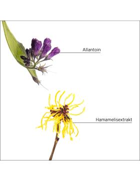 System Professional Lipid Code Purify Shampoo 250 ml