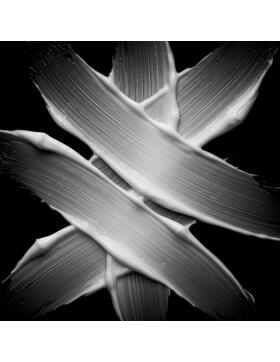 Sebastian Professional No Breaker Anti-Breakage Pre-Shampoo Cr&egrave;me 200 ml