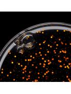 Sebastian Professional Potion 9 Super Luxe Styling Drops 30 ml