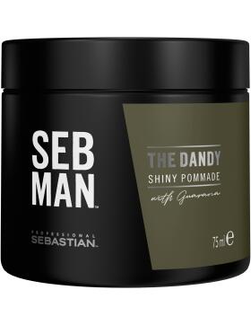 SEB MAN The Dandy Pomade 75 ml